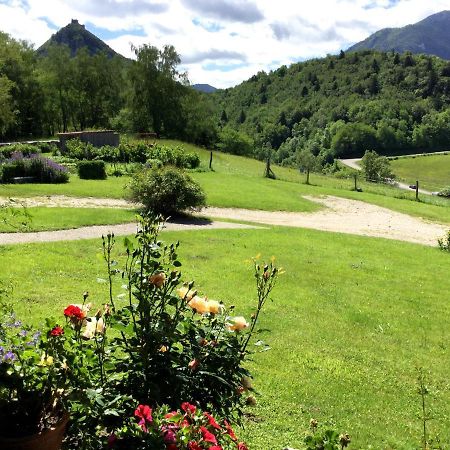 La Serre De Marou Bed & Breakfast Montferrier Dış mekan fotoğraf