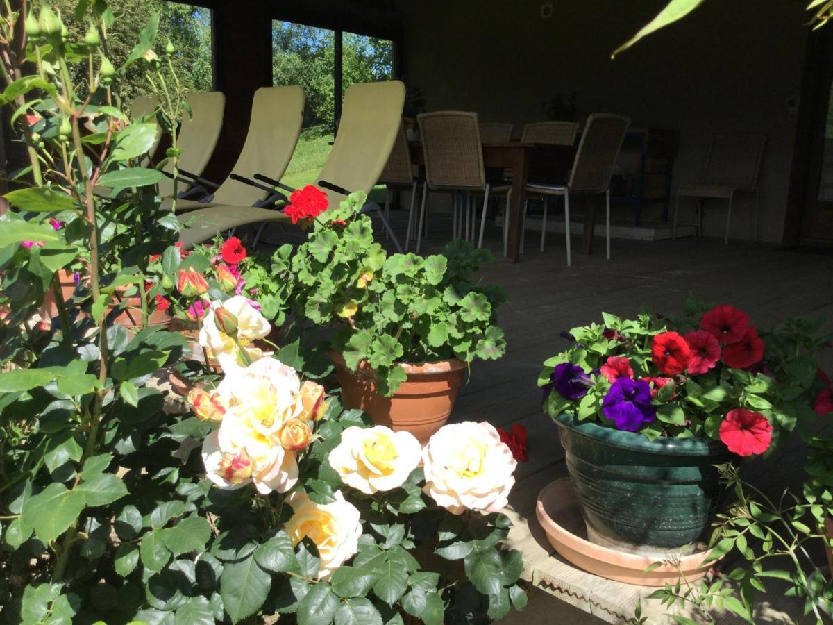 La Serre De Marou Bed & Breakfast Montferrier Dış mekan fotoğraf